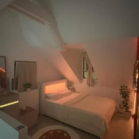 Petit-chalet-de-bel-air 洛桑
